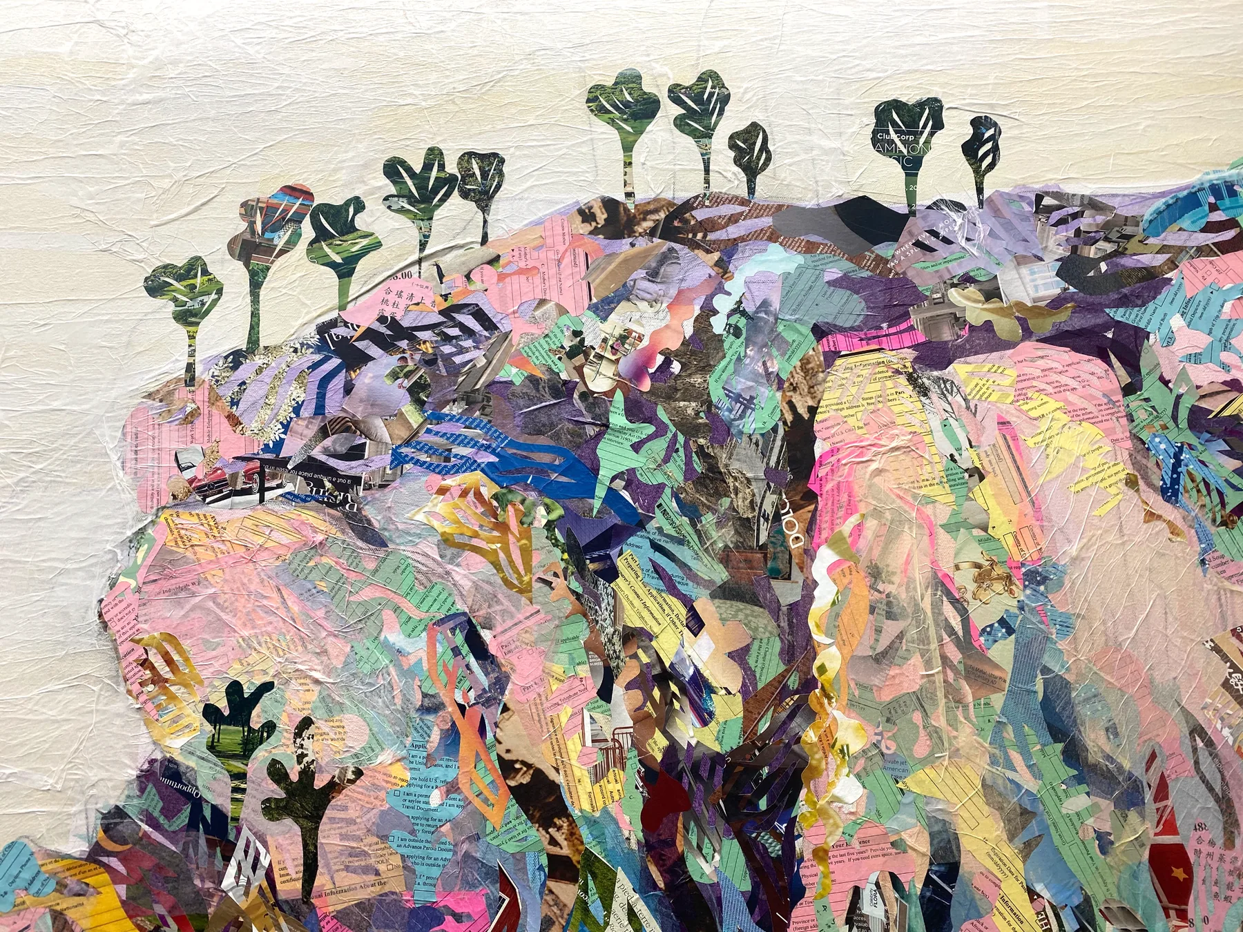 Ridgeline — detail 1
